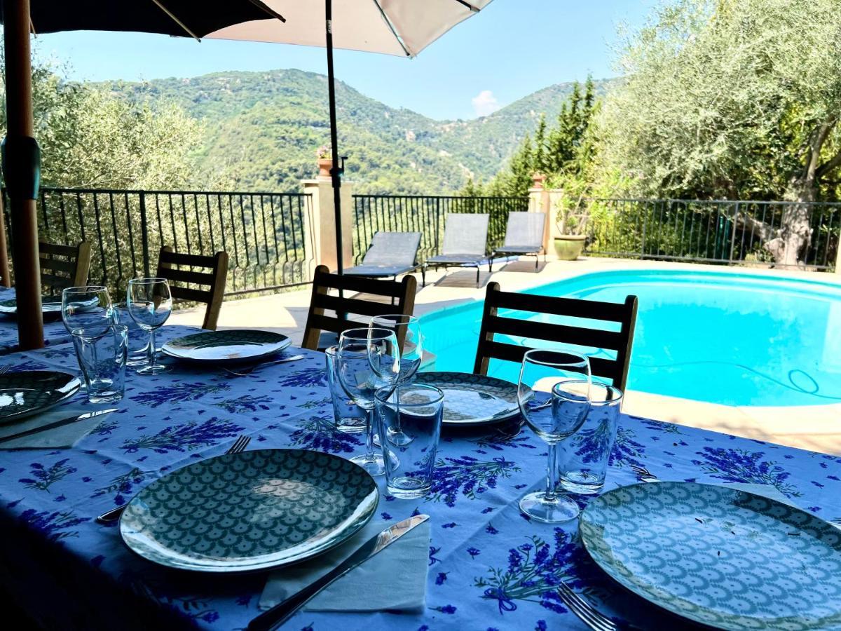 Entre Nice Et Monaco Grande Villa Avec Piscine Privee 12 Personnes Drap Dış mekan fotoğraf