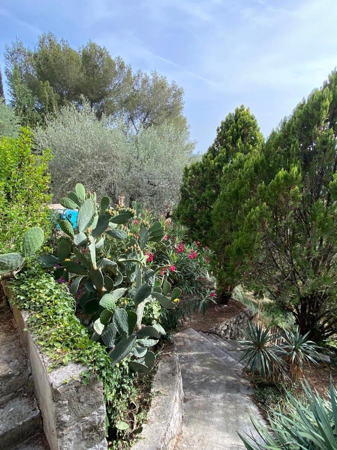 Entre Nice Et Monaco Grande Villa Avec Piscine Privee 12 Personnes Drap Dış mekan fotoğraf