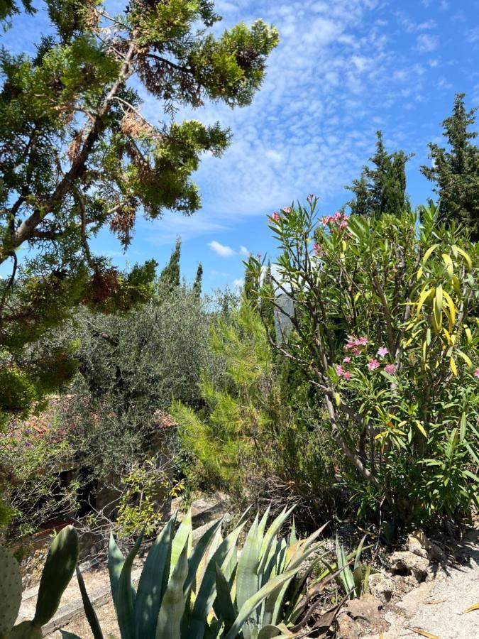 Entre Nice Et Monaco Grande Villa Avec Piscine Privee 12 Personnes Drap Dış mekan fotoğraf