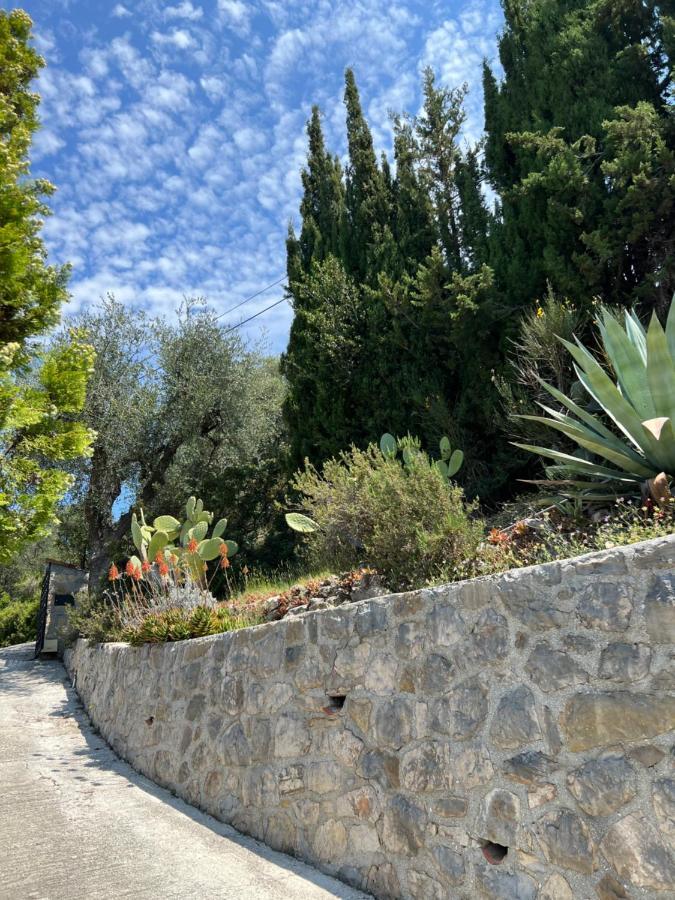 Entre Nice Et Monaco Grande Villa Avec Piscine Privee 12 Personnes Drap Dış mekan fotoğraf