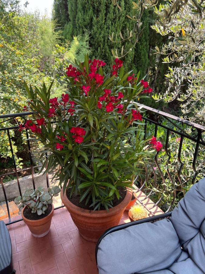 Entre Nice Et Monaco Grande Villa Avec Piscine Privee 12 Personnes Drap Dış mekan fotoğraf